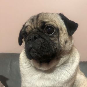 Meet your Posher, Vanessa